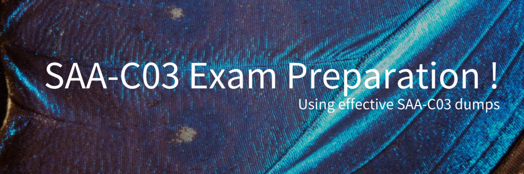 SAA-C03 Exam Preparation